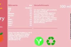 meisinger_smoothie