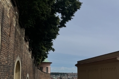 Image-46